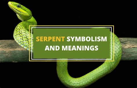 Rediscovering Padna's forgotten serpent temple